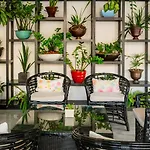 Palacio Mundo Imperial All inclusive hotel